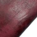 #Culoare_85458