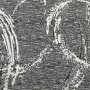 Vzorec - Beta
